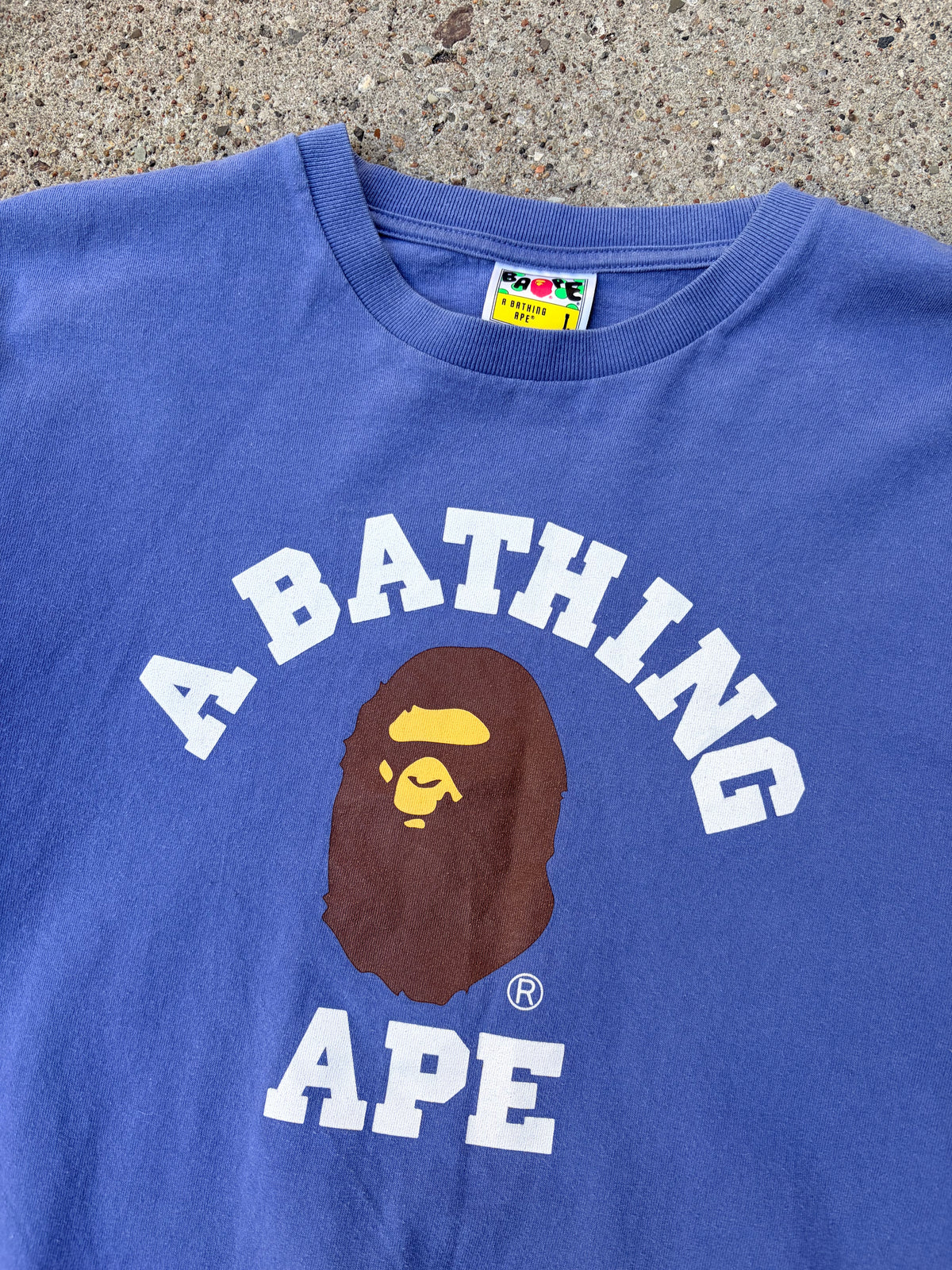 BAPE College Logo Long Sleeve – Purple/Blue – Large