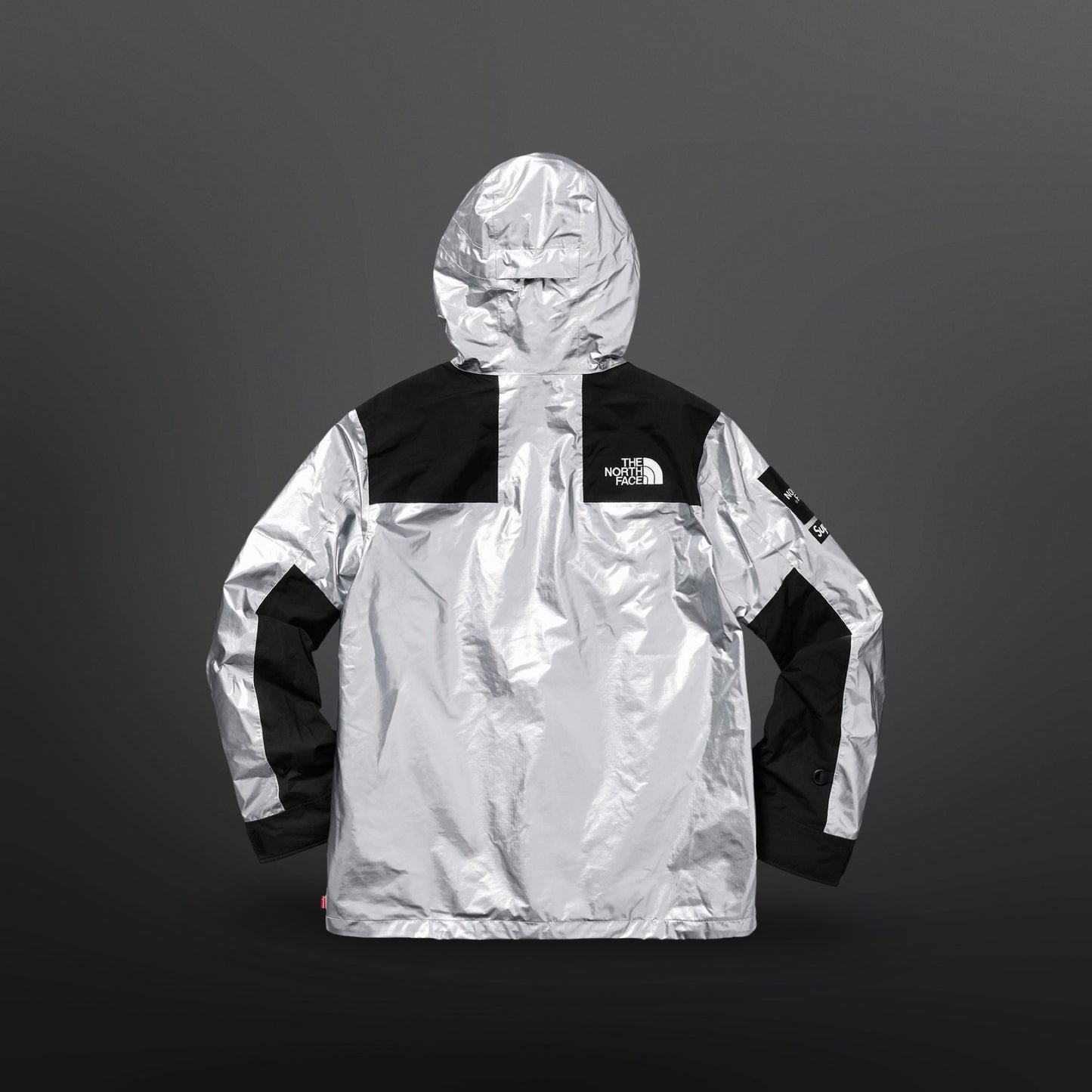 Supreme x The North Face Mountain Jacket Sølv Silver Metallic L Large