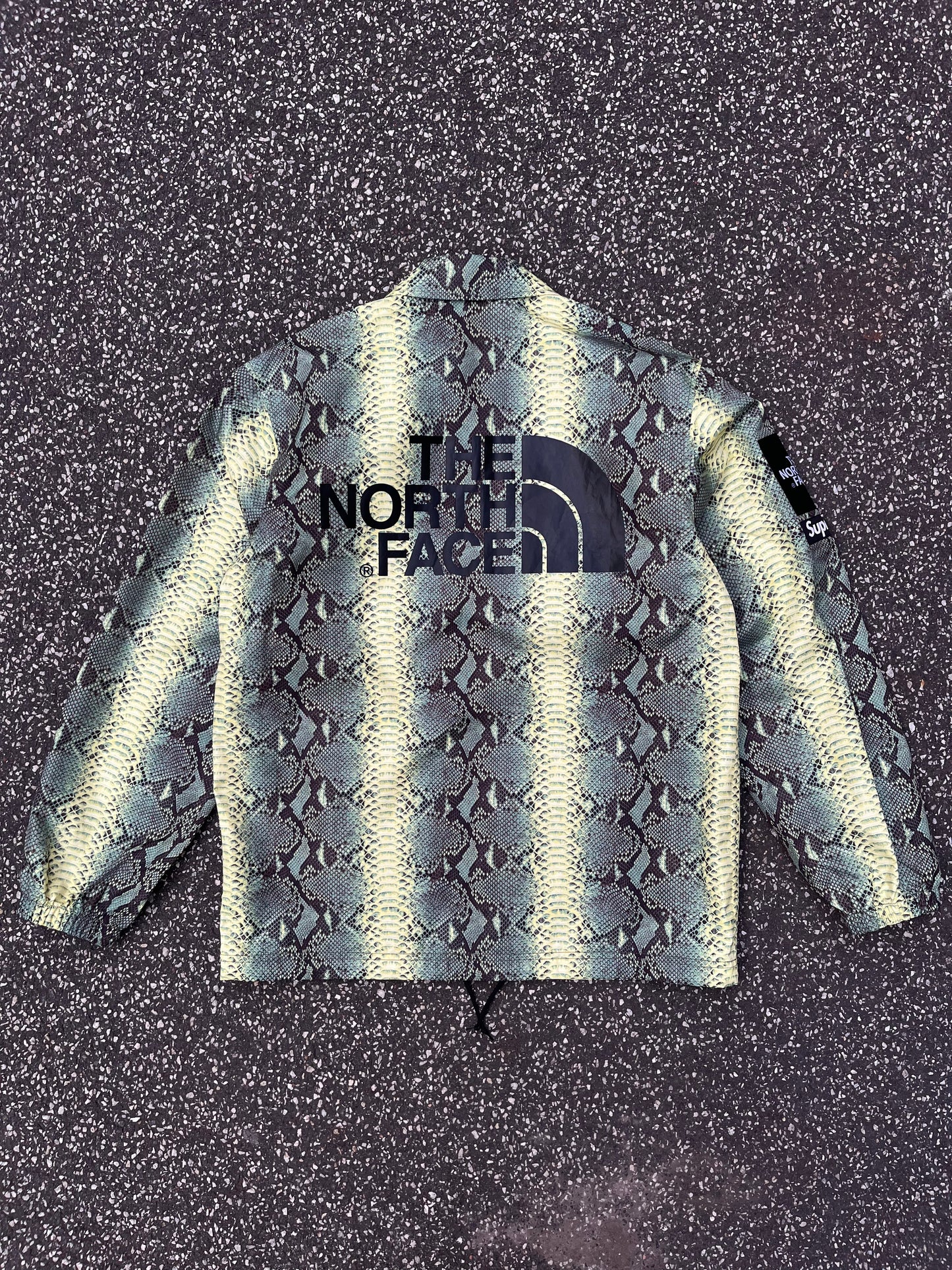 Supreme x The North Face Snakeskin Coaches Jacket – Small