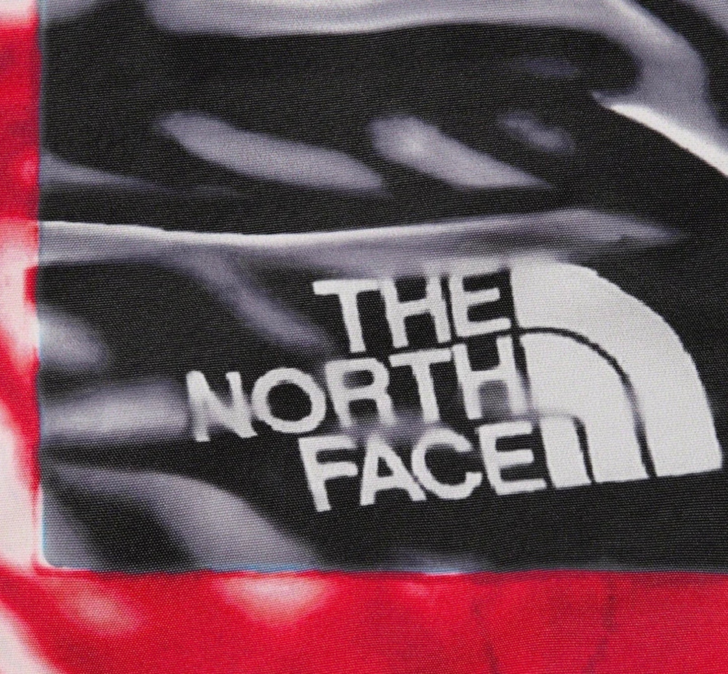 Supreme x The North Face Trompe L’Oeil Printed Taped Seam Shell Jacket
Red / Black
Size XL