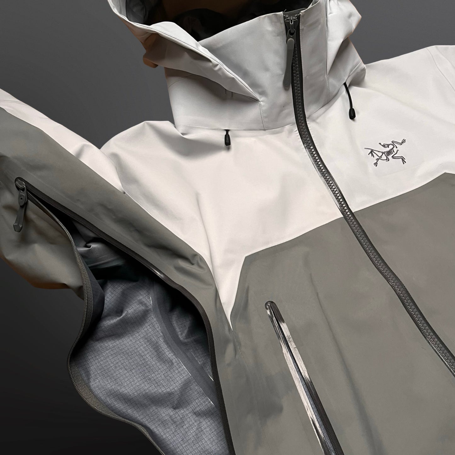 Arc’teryx Beta AR Skaljakke Grå S Small Herre
