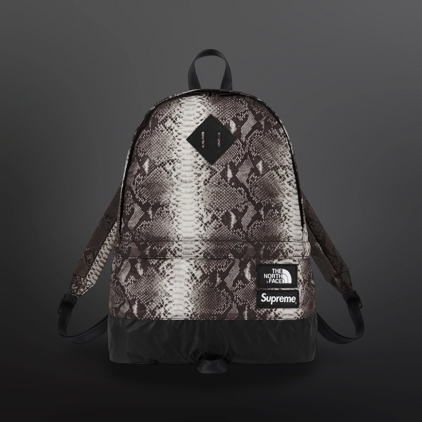 Supreme x The North Face Snake Print Backpack Rygsæk