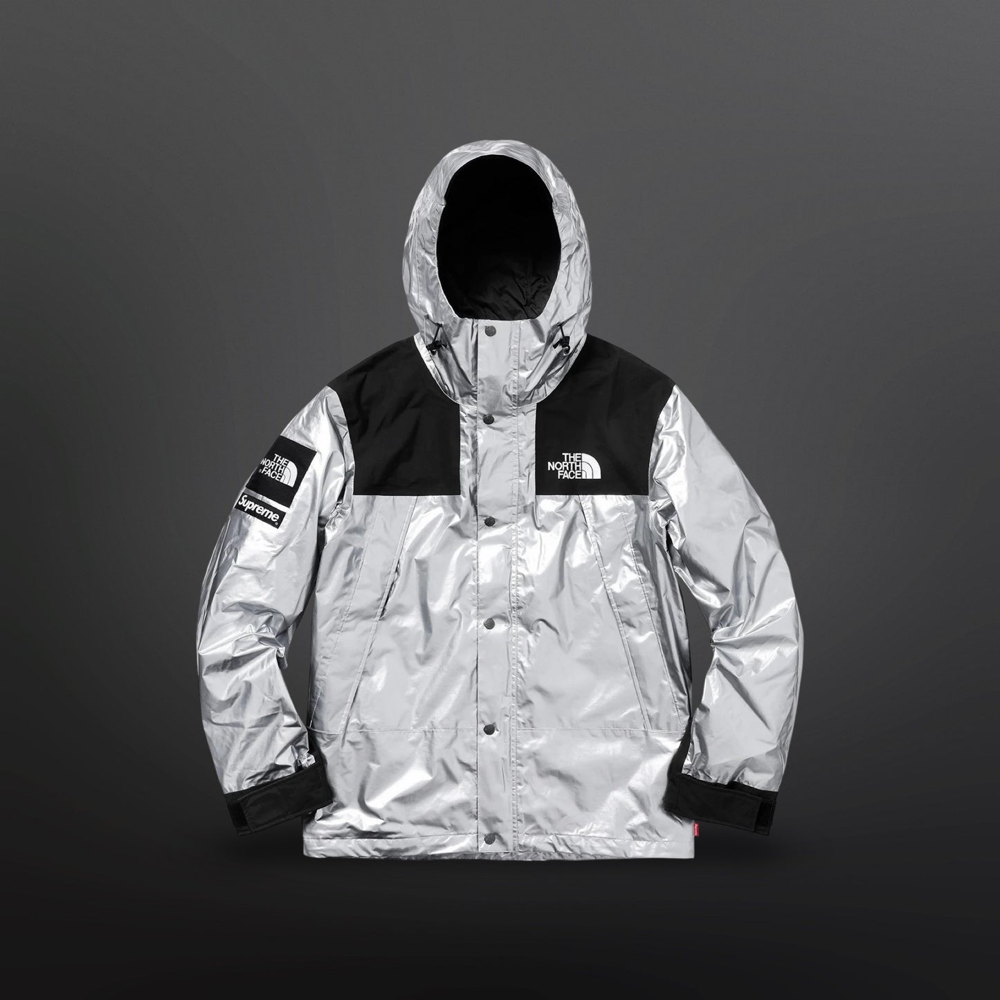Supreme x The North Face Mountain Jacket Sølv Silver Metallic L Large