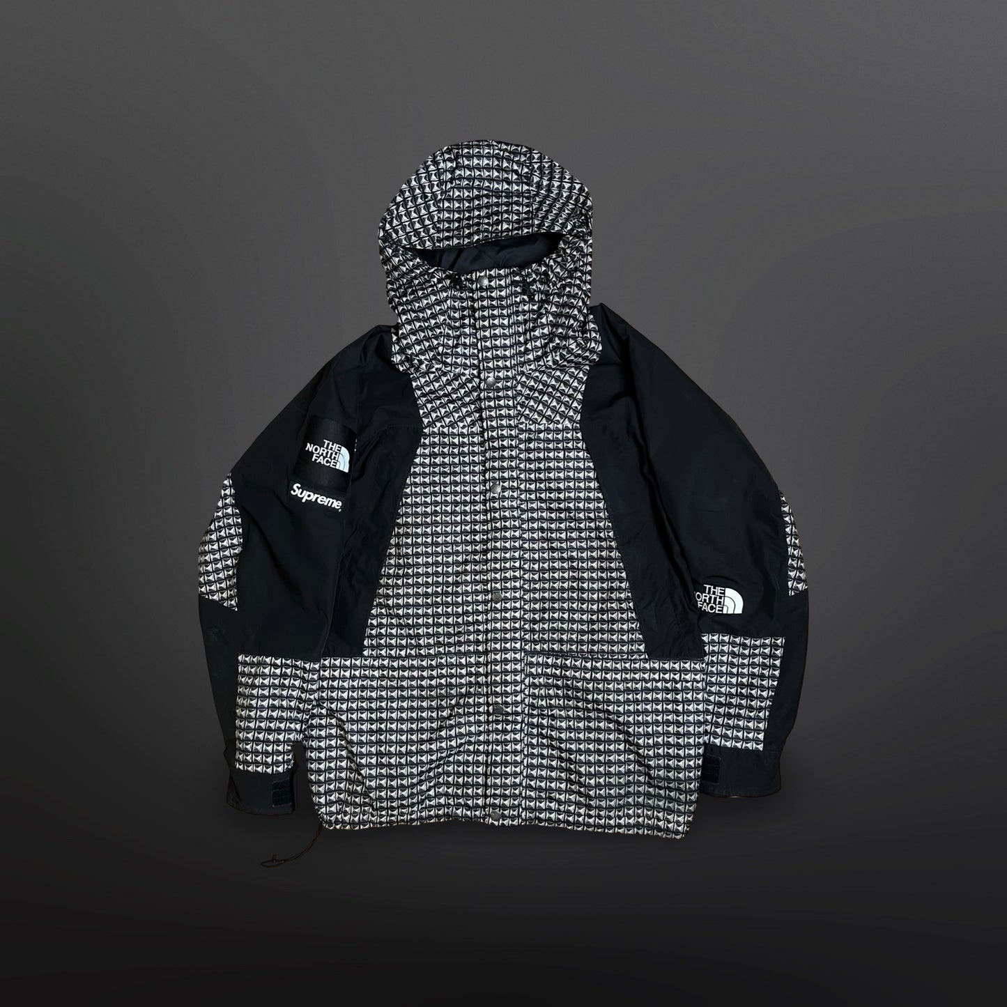 Supreme x The North Face Metallic Mountain Parka – Sort Sølv – Str. L Large