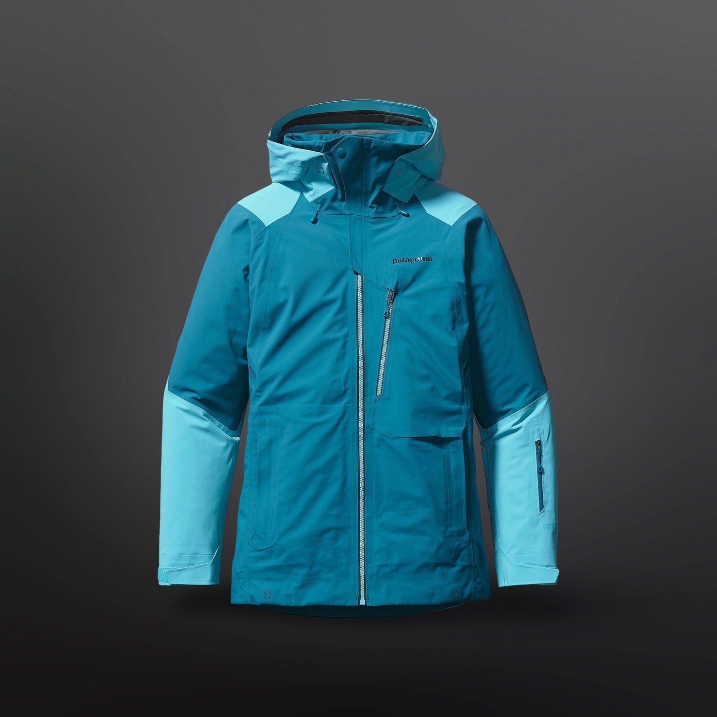 Patagonia Gore-Tex Skaljakke / Skijakke