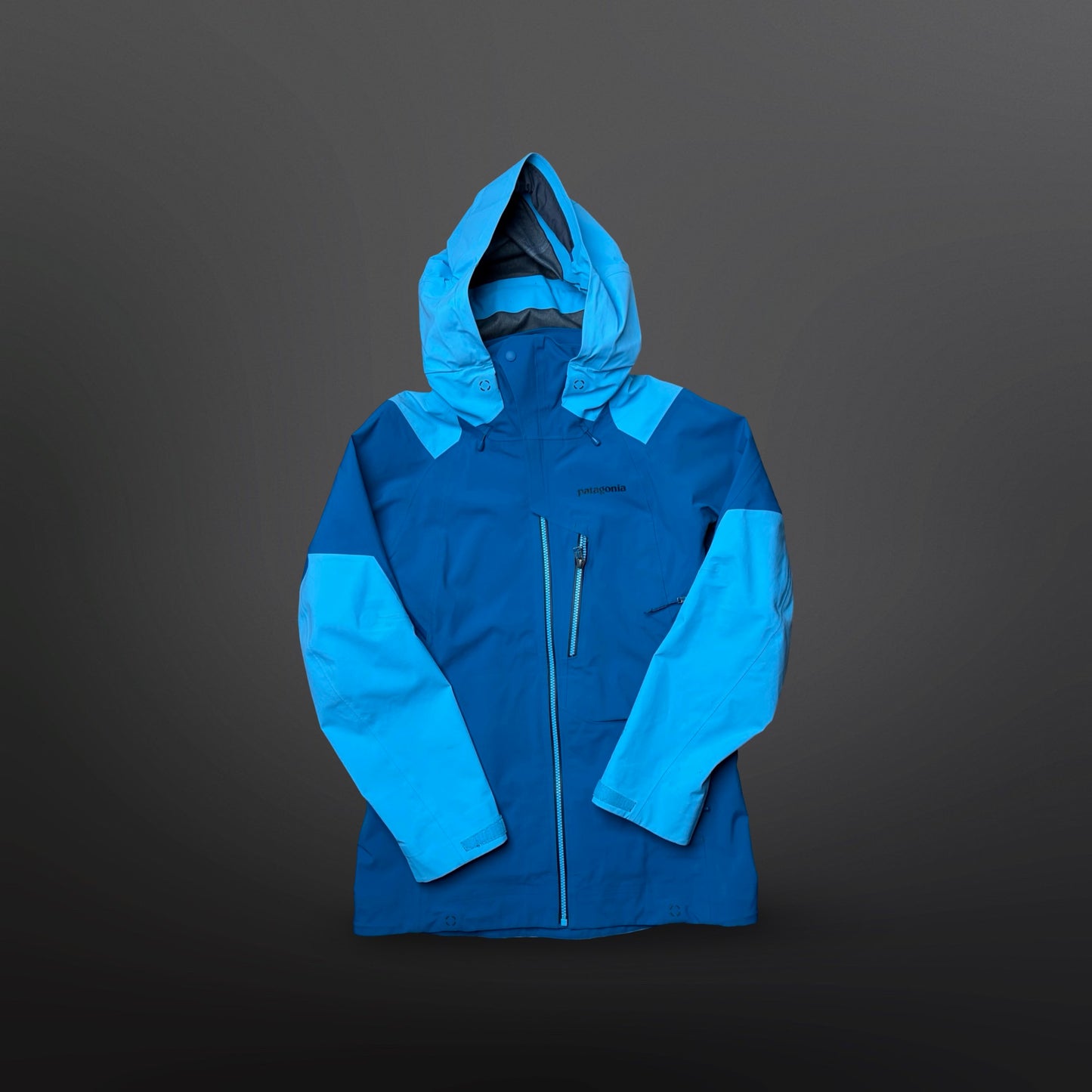 Patagonia Gore-Tex Skaljakke / Skijakke