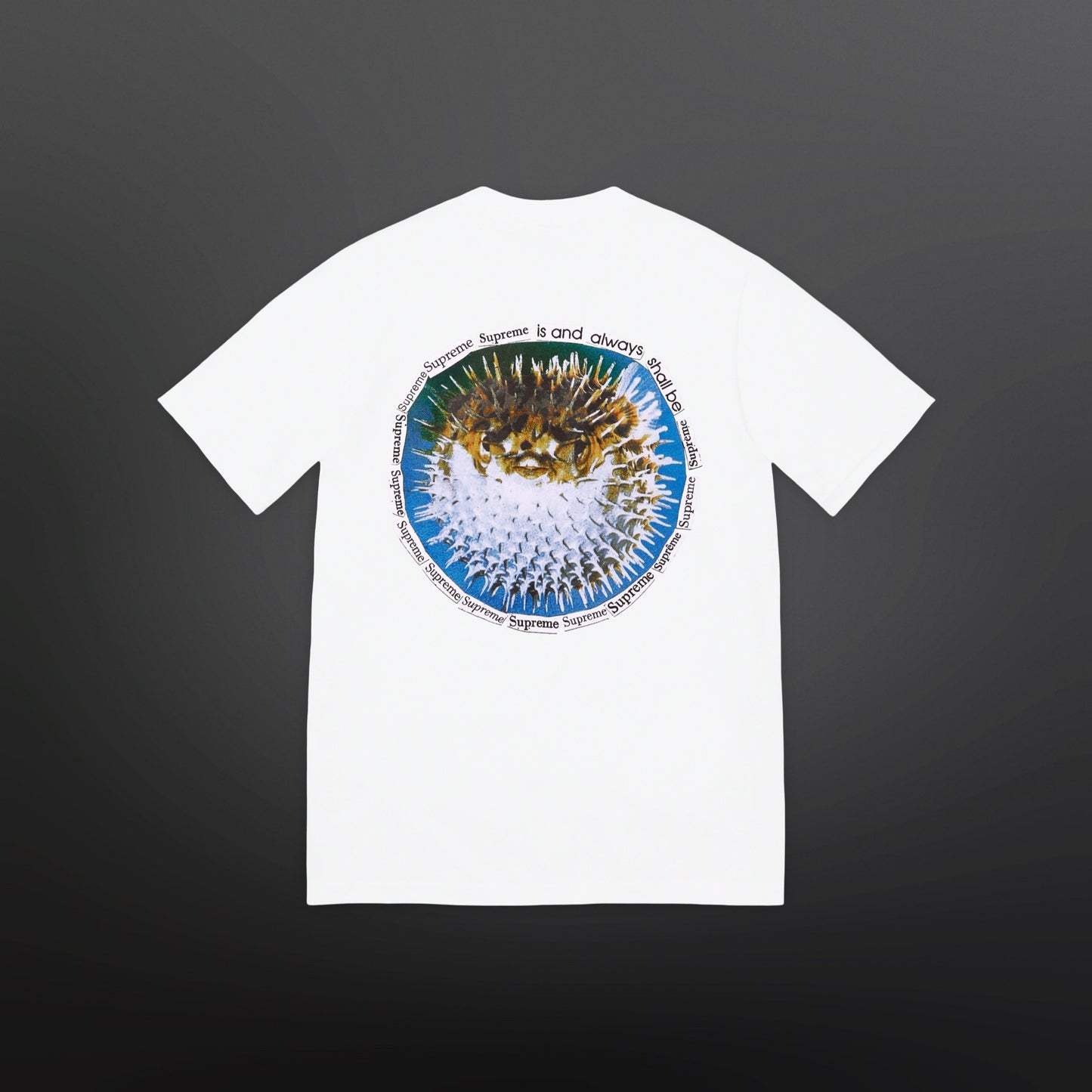 Supreme Blowfish Tee – White (Large)
