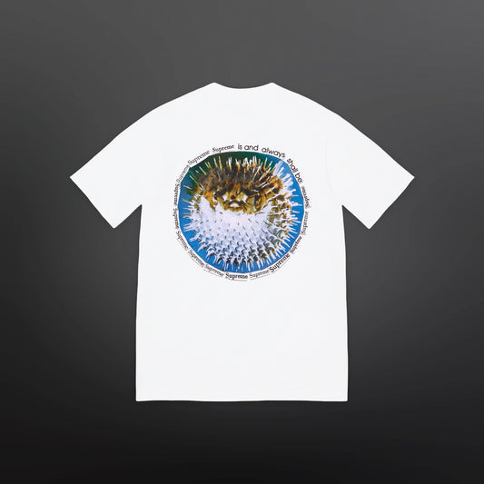 Supreme Blowfish Tee – White (Large)